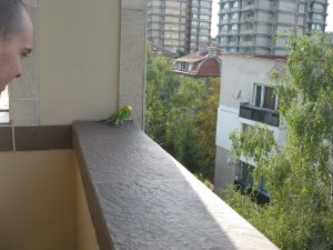 На терасата преди гостоприемната почерпка